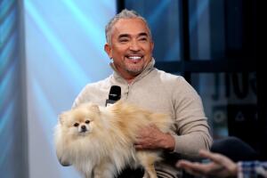 Cesar Millan