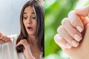 remedios naturales_uñas quebradizas