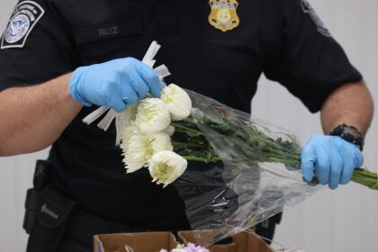 MIAMI, FLORIDA - FEBRUARY 12: Flowers are inspected by U.S. Customs and Border Protection Agriculture Specialists for foreign pests or diseases in the FedEx Cargo hub at Miami International Airport on February 12, 2025 in Miami, Florida. FedEx transfers millions of fresh flowers through the hub for Valentine's season by increasing air capacity from Colombia and Ecuador. They will transport over 2.2 million pounds of flowers from these countries in February. (Photo by Joe Raedle/Getty Images)