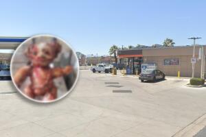 “Oso de peluche con piel humana” moviliza a las autoridades en Victorville: hay un detenido