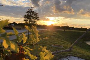 ATARDECER-HOUSTON/ATARDECER-HOUSTON-9.jpg
