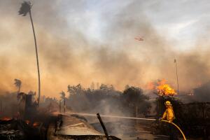 AP24314390926385 (1).jpg