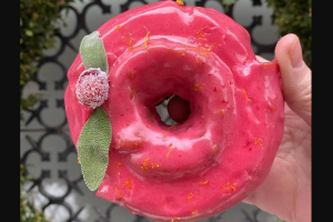 Dónde encontrar las dónuts más deliciosas de Nueva York - The Doughnut Project.png