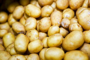 batata-texto.jpg