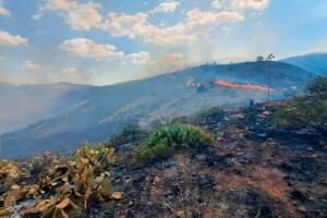 Black Fire consume más de 5 mil acres en Tonto National Forest y obliga a evacuar
