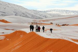 Sahara Nevado
