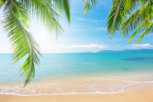 Vacaciones verano 2.jpg