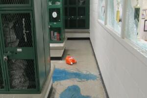 Sunny slope /sunnyslope.jpg