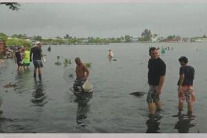 Peces Cuba/Peces2Cuba5.jpg