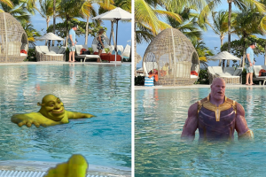 perro_bermudez_collage_twitter_3