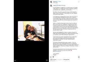Meghan Markle de luto por la muerte de su mascota Guy.