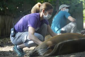 Denver Zoo