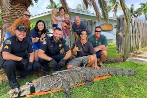 Oficiales de Satellite Beach ayudan con la captura de cocodrilo