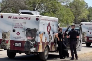 perro muerde hombre San Antonio citatorios