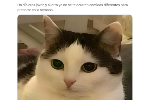 meme-un-dia-eres-joven-al-otro (8).png