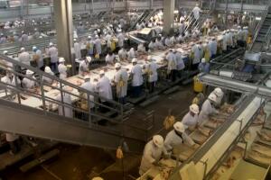 Tyson plant before changes