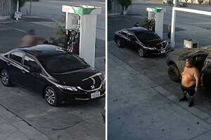 Gardena Attack.jpg