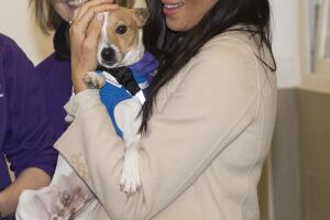 Meghan Markle enero 16 2019