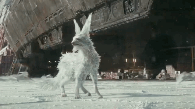 zorro-hielo-star-wars.gif