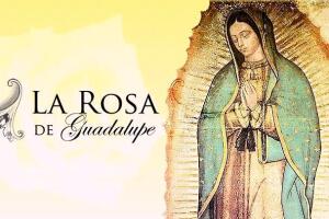 El productor de ‘La rosa de Guadalupe’ revela el éxito de la serie