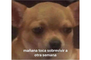memes-lunes (1).png