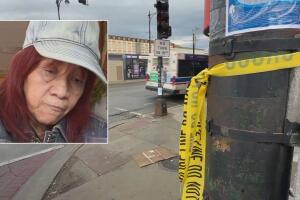Era de Guerrero, México, la mujer de 65 años atropellada mortalmente en Belmont Cragin 