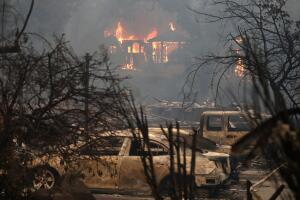 Incendios forestales acaban con cientos de autos