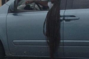 Cosas insólitas que solo se ven en Florida