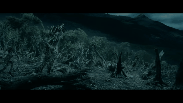 La explicación científica detrás de los árboles que caminan en Ecuador