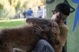 diecisiete pelicula netflix.jpg