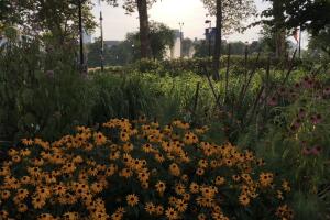 SISTERS PARK /IMG_3651.jpg