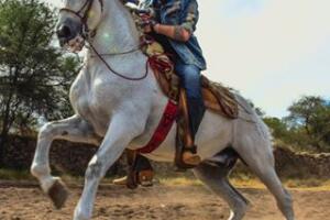 PepeAguilar.jpg