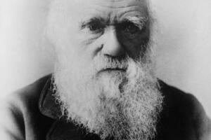 darwin.jpg