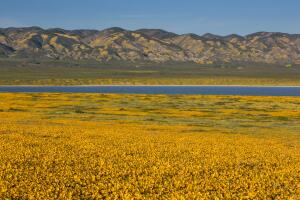 Exploring Carrizo Plain National Monument