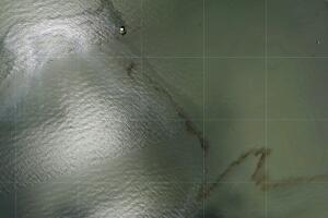 Hurricane Ida Environmental Hazards