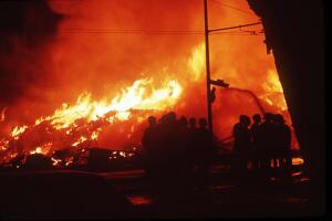 Earthquake Anniversary