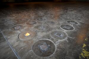 Radioactive Wasp Nest