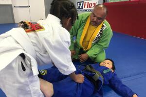 Ju jitsu/jujitzu11.jpeg