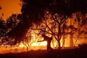 Incendios forestales