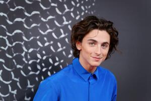 timothee_calamet_netflix.jpg