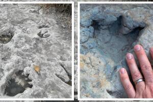 Huellas dinosaurio Texas