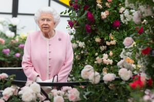 gettyimages-961079432.jpg