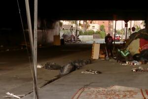 Vecinos del sur de Los Ángeles exigen acción ante indigencia y basura en calles