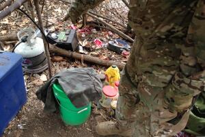 Plantíos de marihuana en Los Ángeles