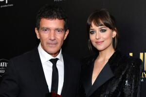 23rd Annual Hollywood Film Awards - Social Crops