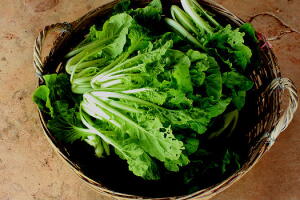 ingredientes-para-suco-detox-1.jpg