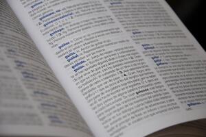 Diccionario en espanol