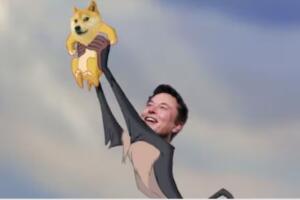 kabosu_meme_dog (2).jpg