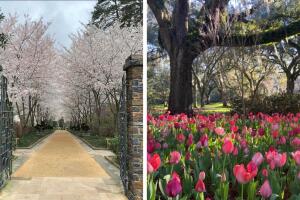 jardines botanicos nc.jpg