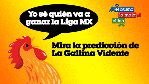 Gallina Vidente Final.